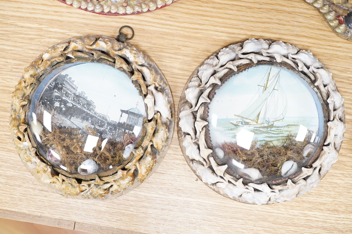 A collection of seven shellwork frames with convex glass, housing maritime interest prints with seaweed and shell decoration, largest 23cm in diameter
